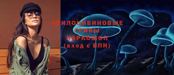хмурый Лиски