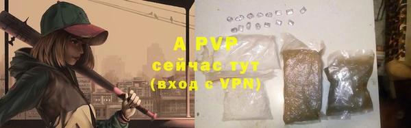 хмурый Лиски