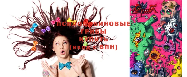 хмурый Лиски
